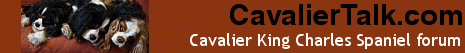 CavalierTalk